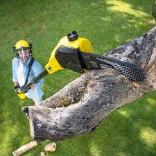 Corrigan, TX Tree Services Pros